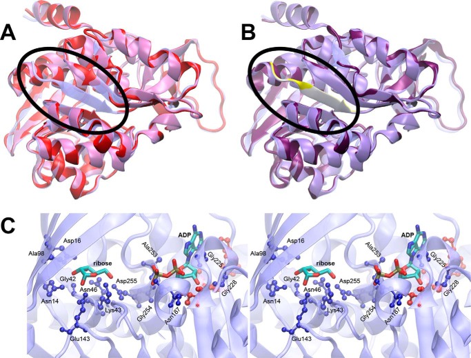 FIGURE 2.