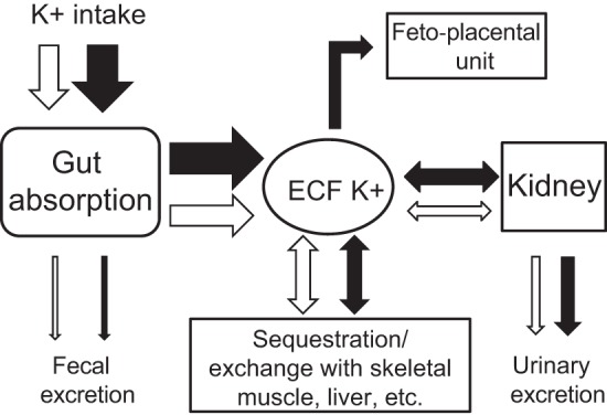 Fig. 7.