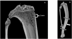 Supplementary Fig. 1