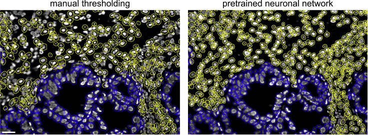 Figure 6