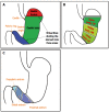 Figure 17