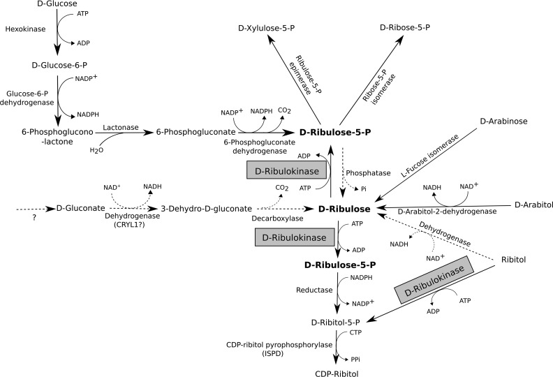 FIGURE 10.