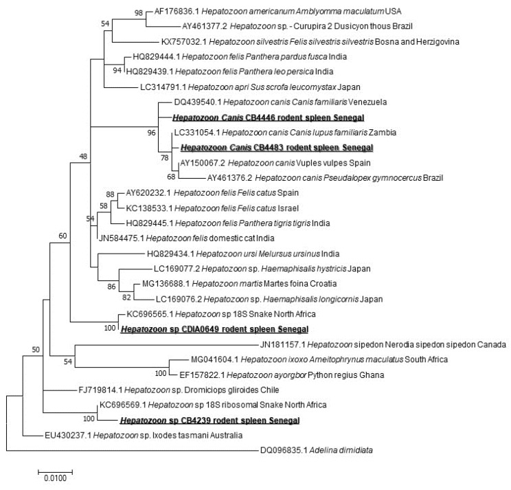 Figure 4