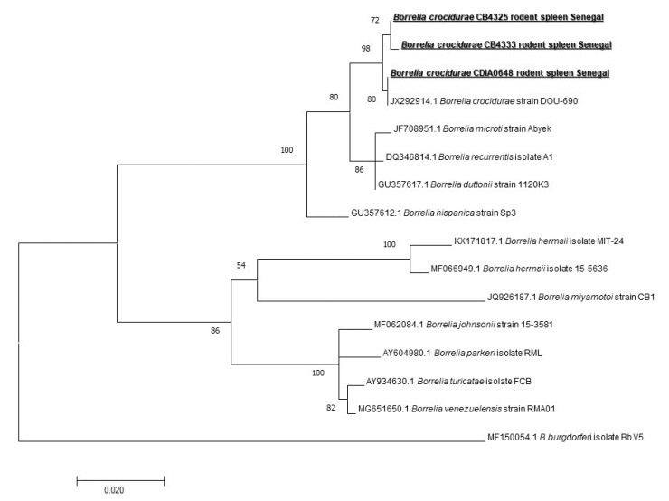 Figure 5