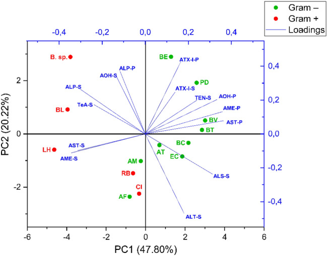 Fig. 6