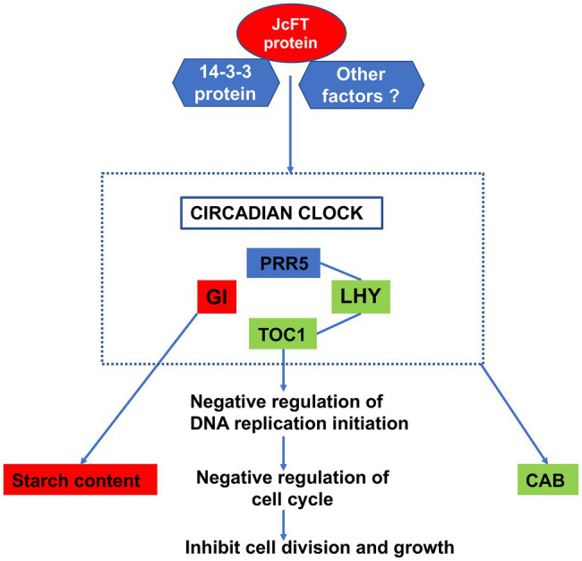 Figure 11