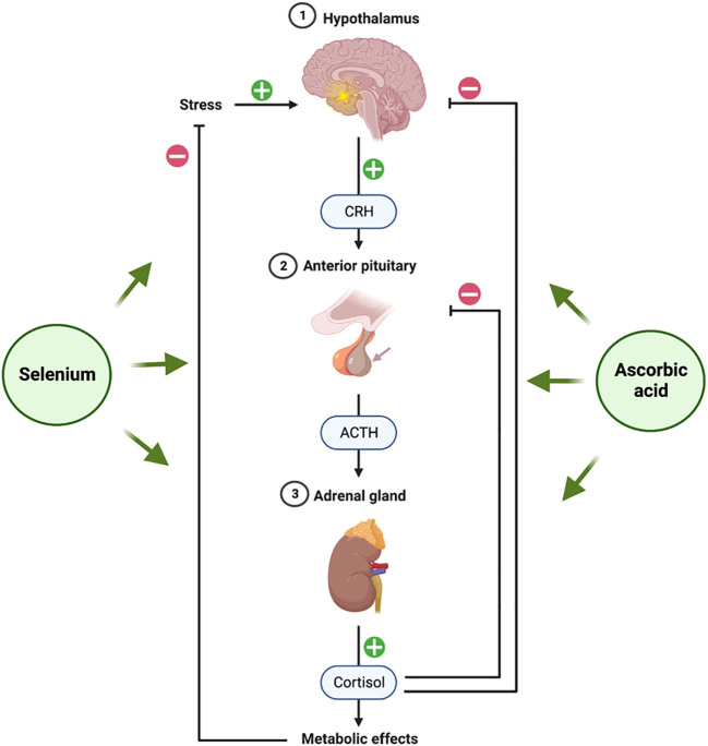 Figure 4