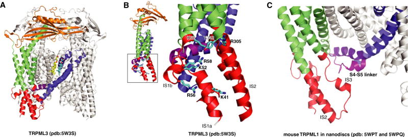 Fig. 3