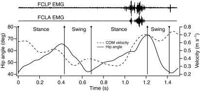 Fig. 8.