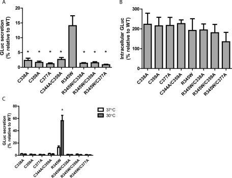 FIGURE 5: