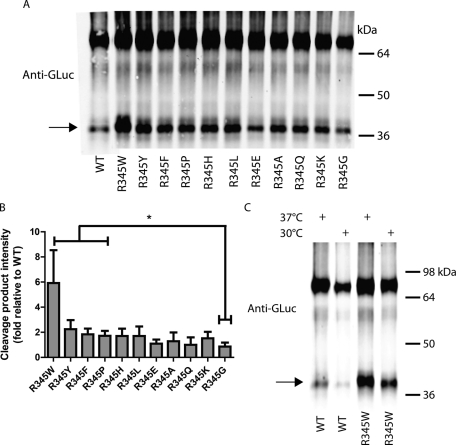 FIGURE 7: