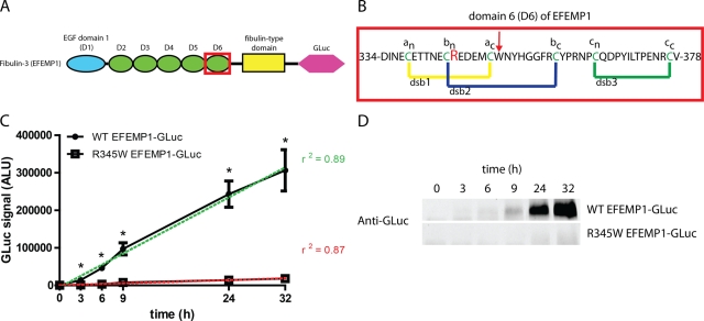 FIGURE 1: