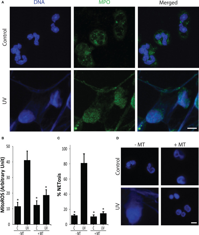 Figure 1