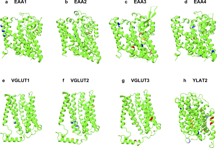 Fig 6