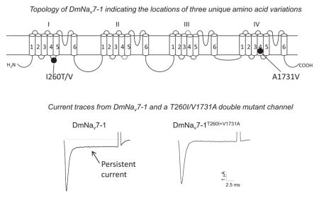 graphic file with name nihms585190u1.jpg