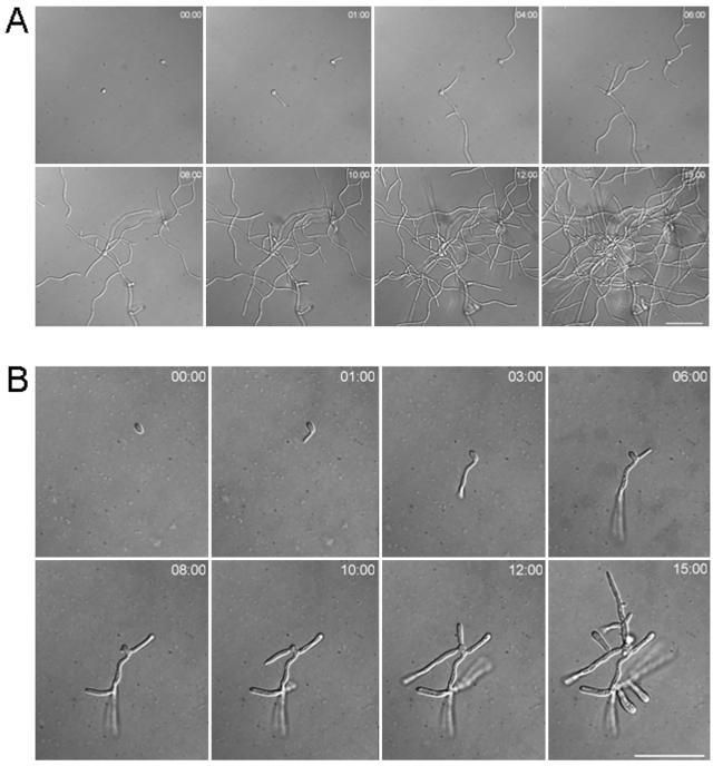 FIG. 7.