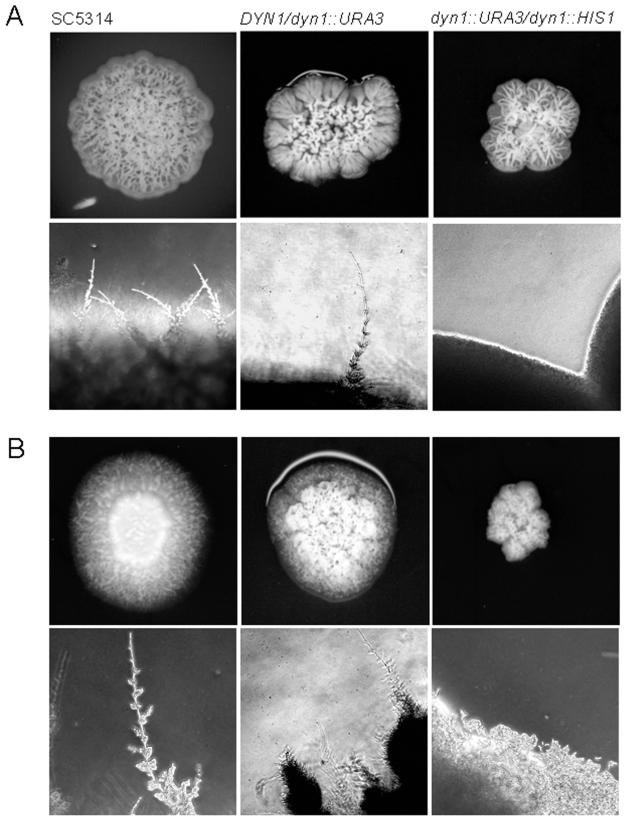 FIG. 6.