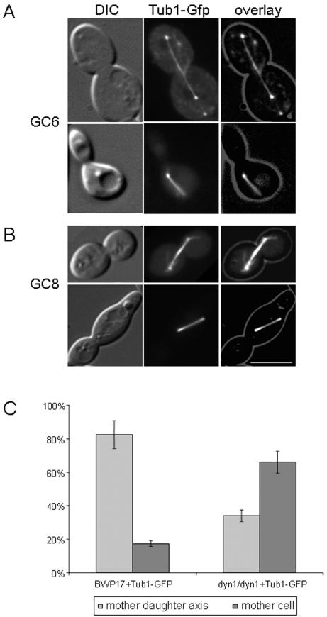 FIG.5.