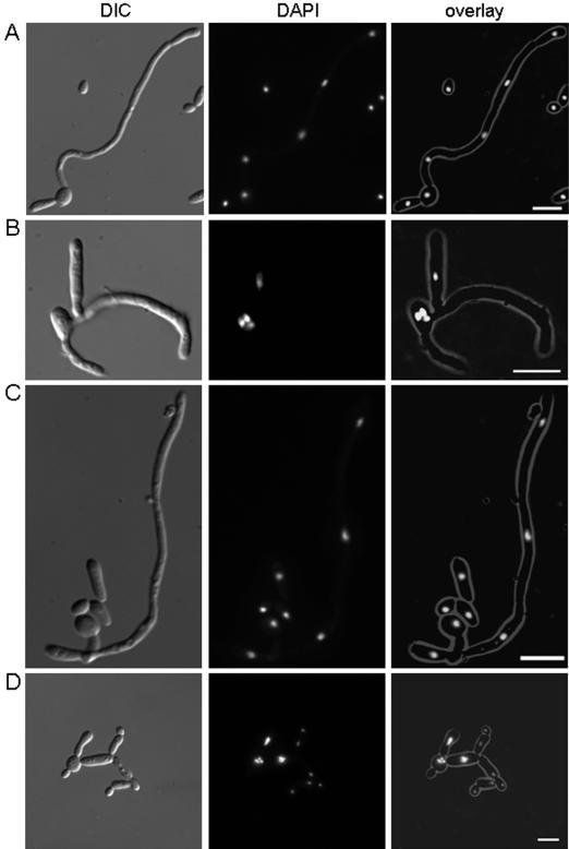 FIG. 8.