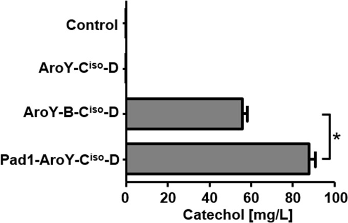 FIG 2