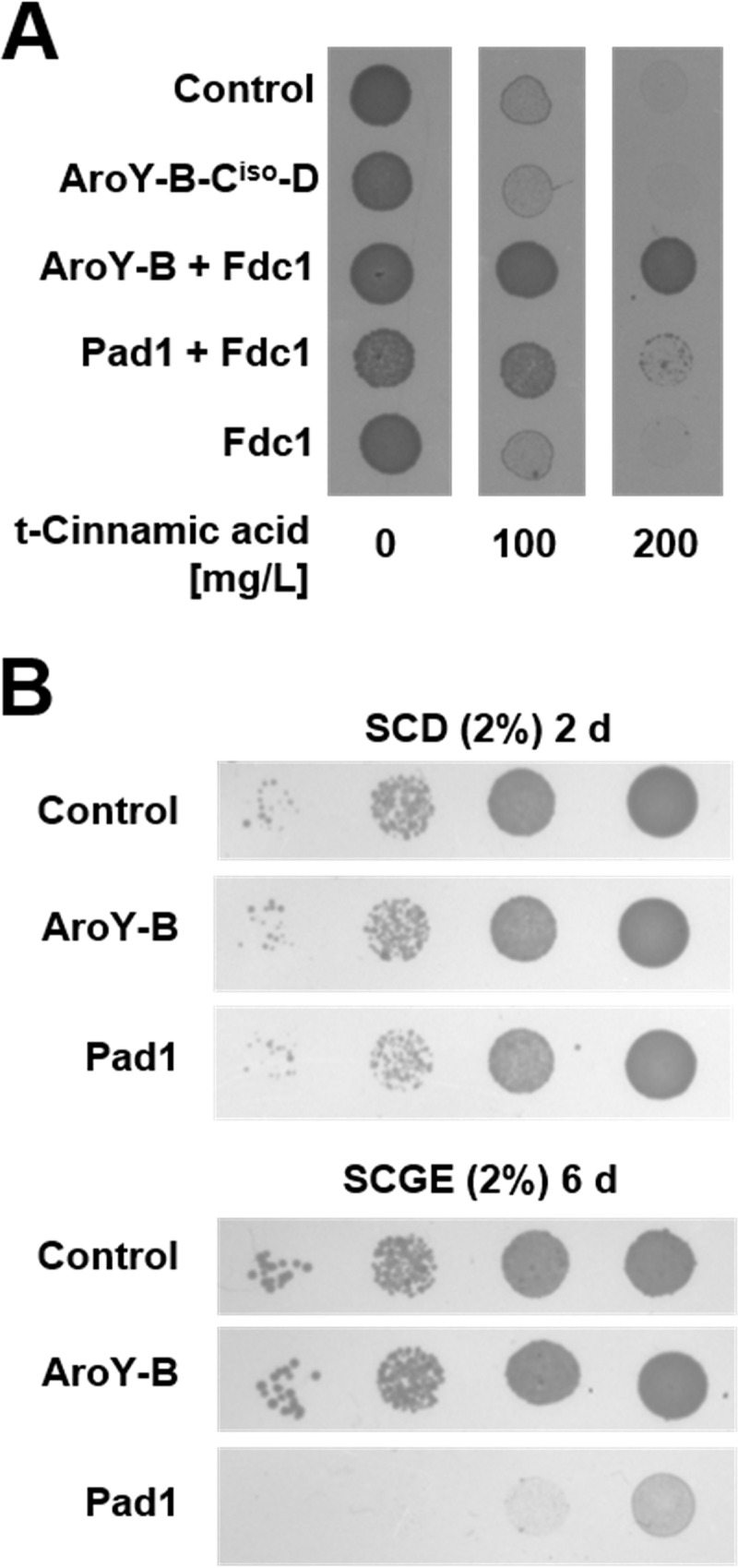 FIG 4