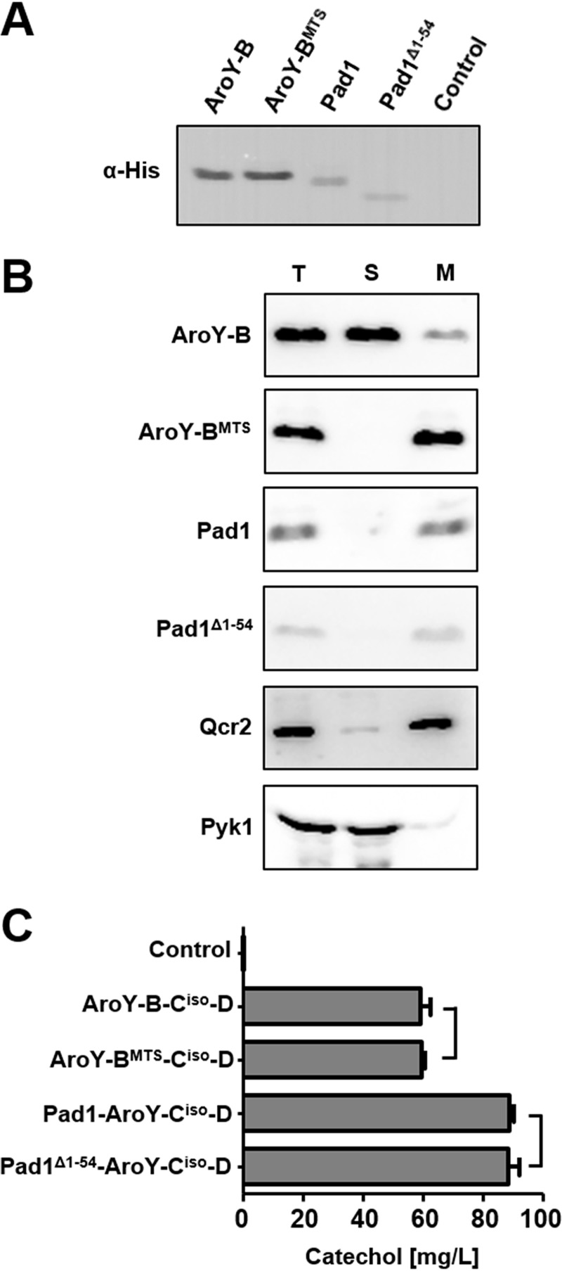 FIG 3