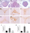 Fig 8