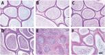 Fig 5