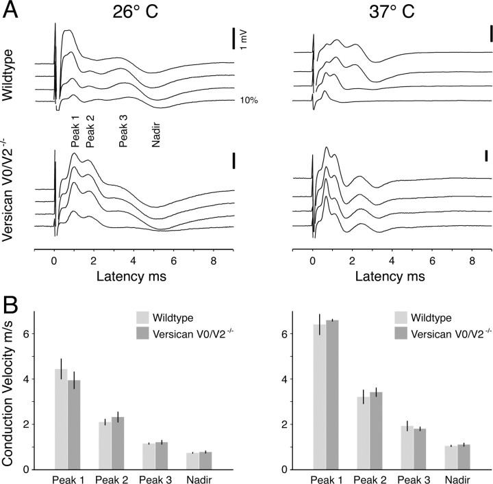 Figure 11.