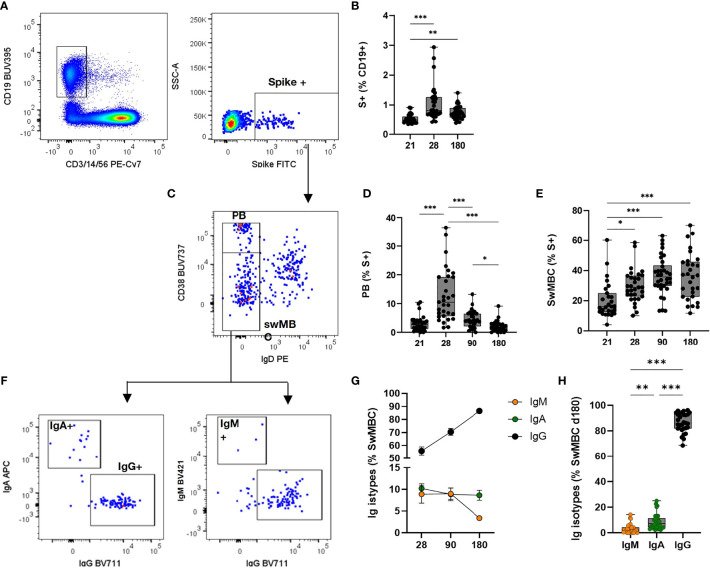 Figure 3