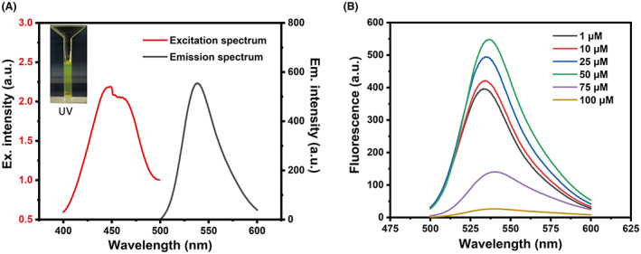 FIGURE 2