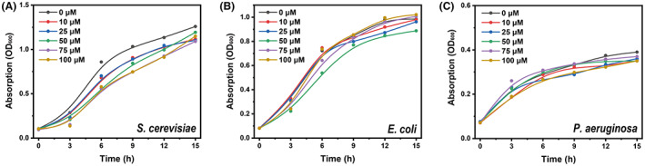 FIGURE 3