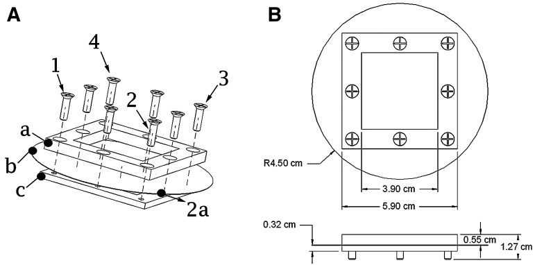 FIG. 2.