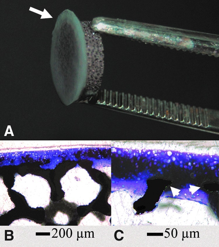 FIG. 6.