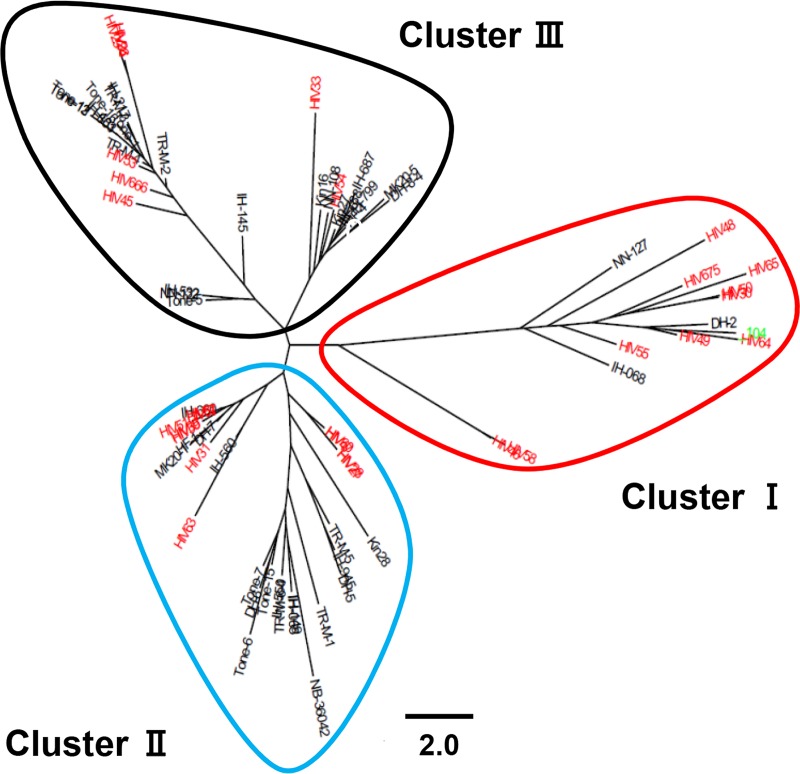 FIG 1