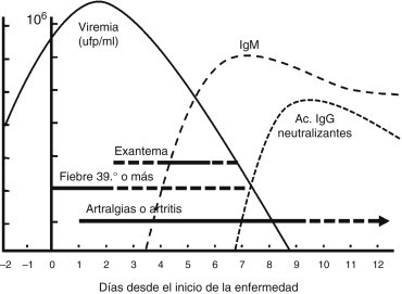 Figura 3