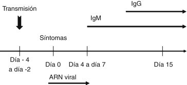 Figura 4