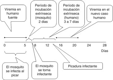 Figura 2