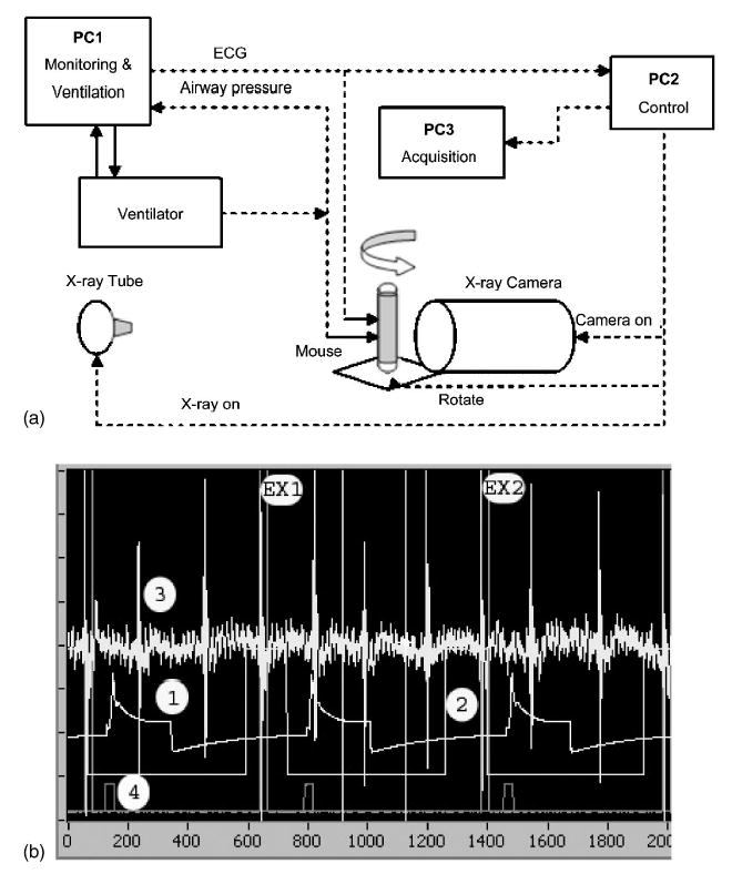 Fig. 3