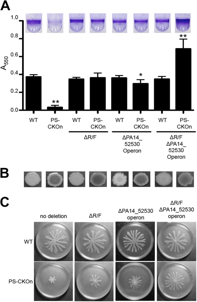 FIG 6 