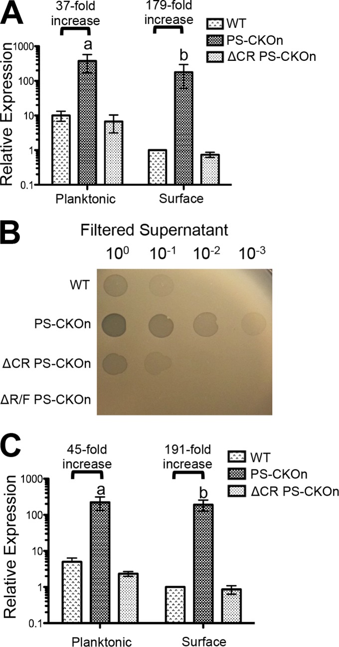 FIG 3 