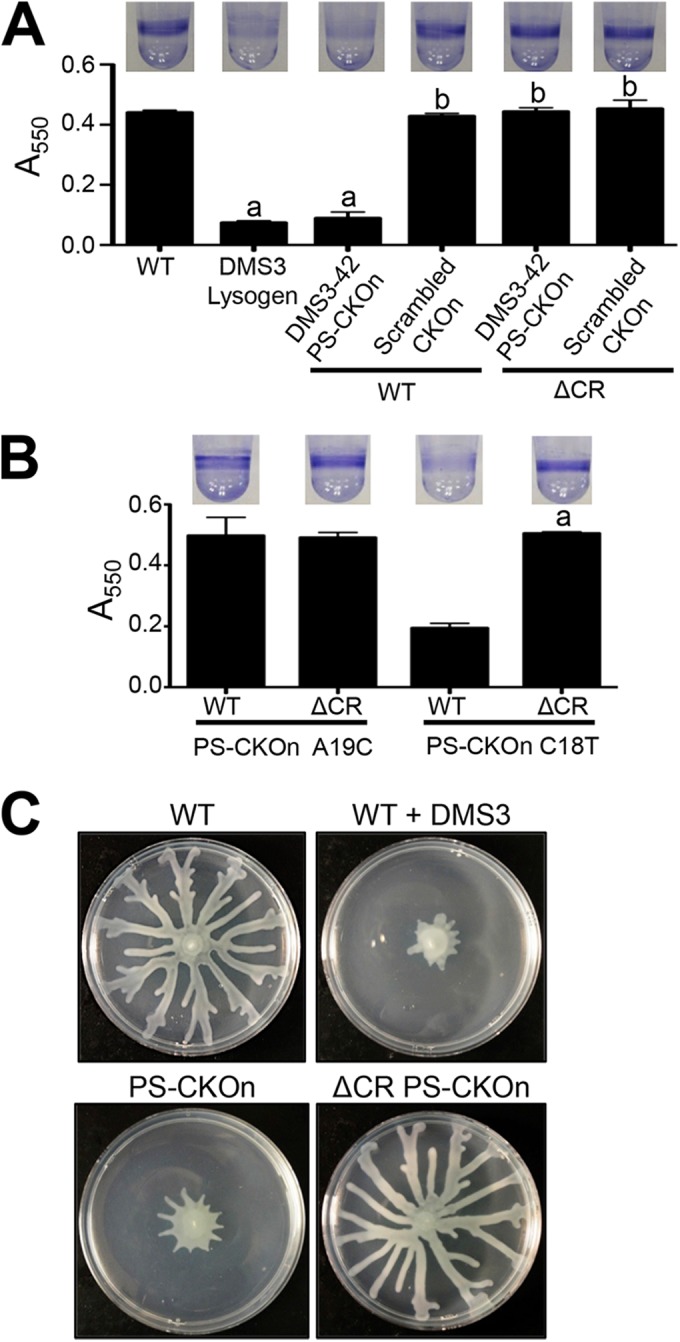 FIG 1 