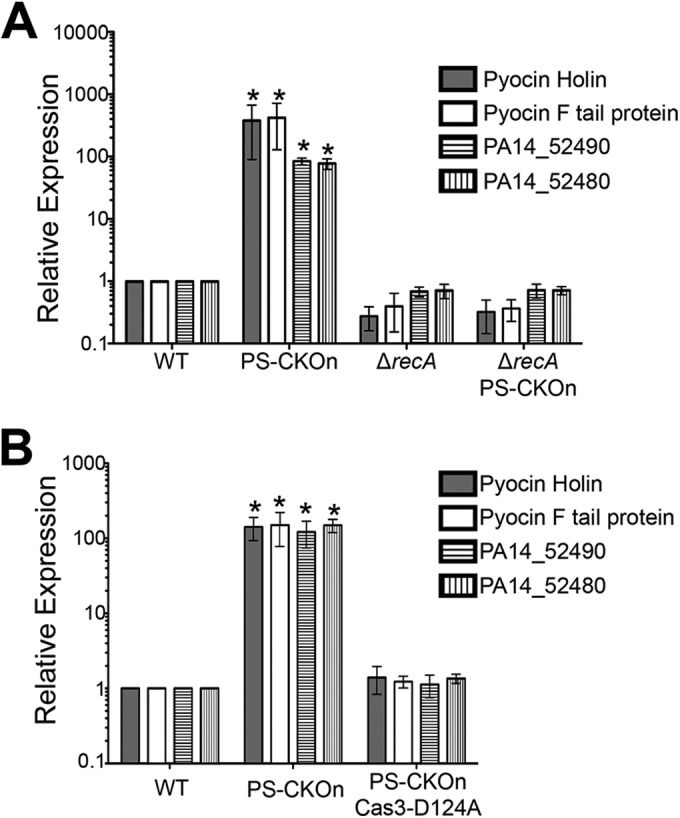 FIG 4 