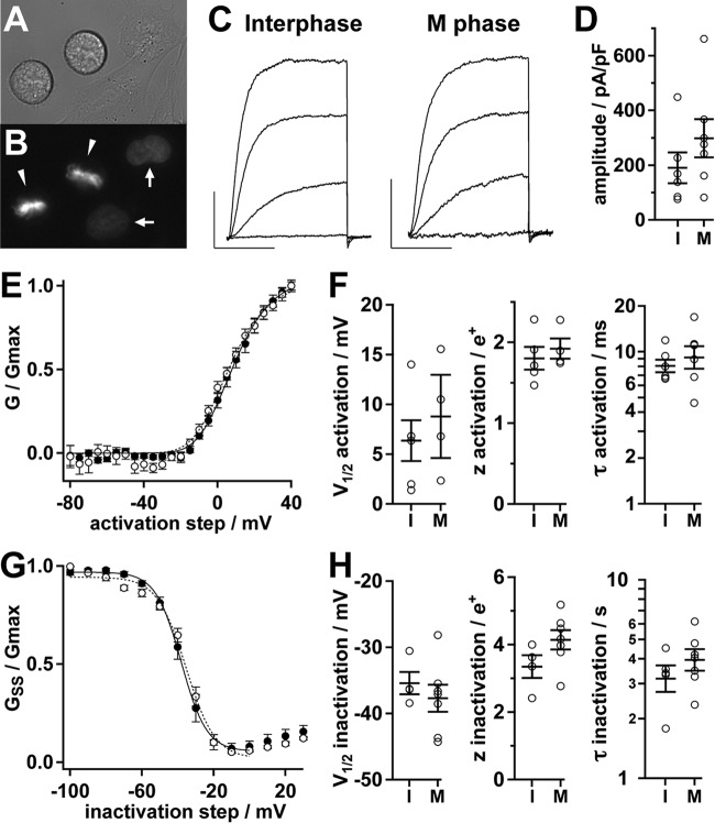 FIGURE 7.