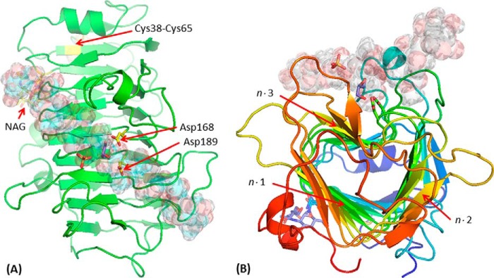 FIGURE 6.