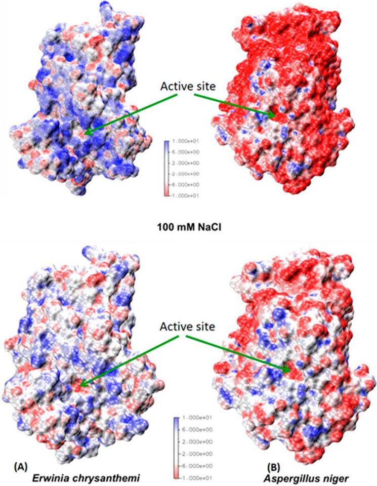 FIGURE 12.