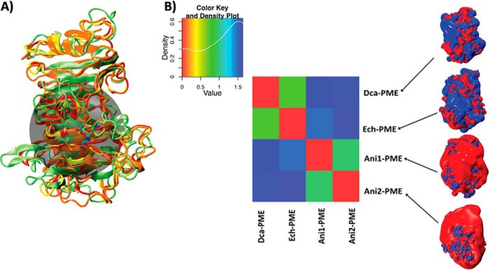 FIGURE 13.