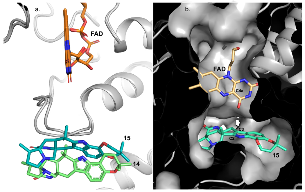 Figure 5.