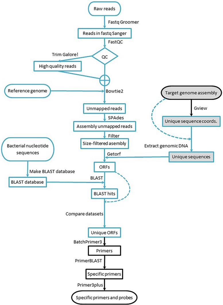 FIGURE 1