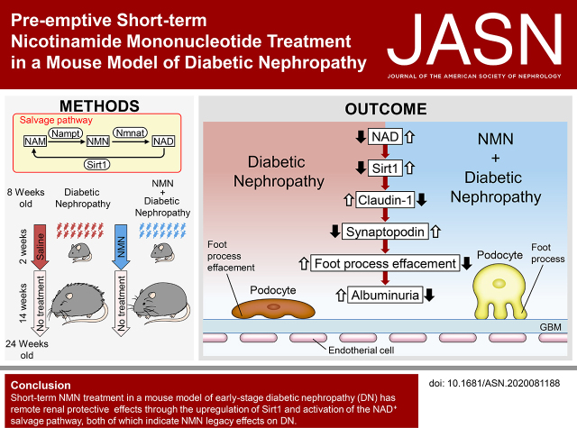 graphic file with name ASN.2020081188absf1.jpg